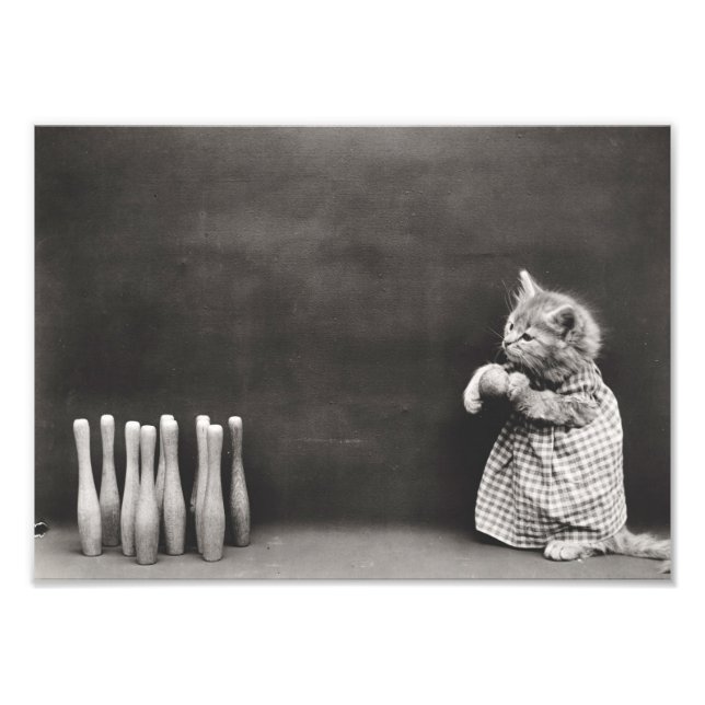 Impression Photo Kitten Bowling (Devant)