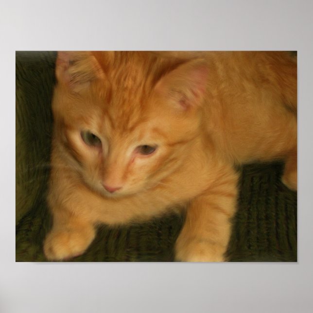 Impression photo Kitty (Devant)