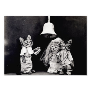 Impression Photo Kitty Mariage