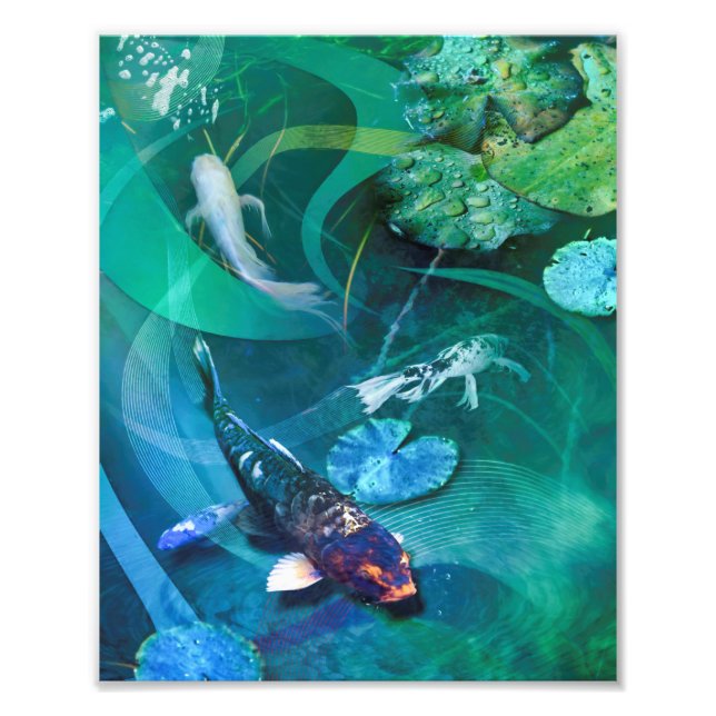 Impression Photo Koi Fish JOY DE KOI (Devant)