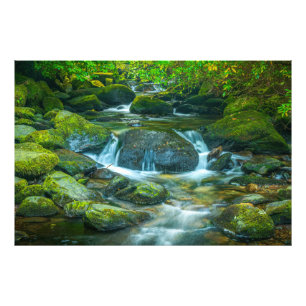 Impression Photo La coulée émeraude du ruisseau irlandais
