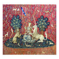 La Dame et la licorne, Vue