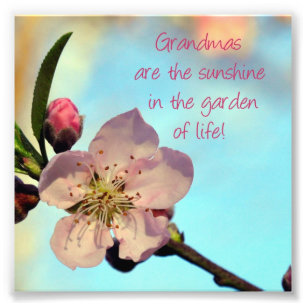 Impression Photo La fleur rose "grand-mamans sont…" Cadeau