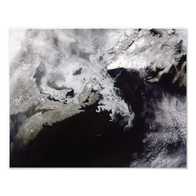 Impression Photo La glace de mer remplit le golfe du Saint-Laurent (Devant)