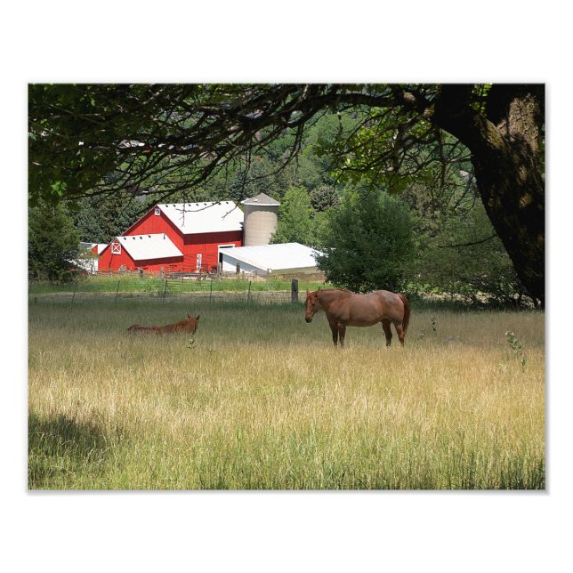 Impression Photo La Grange Rouge Et Les Chevaux (Devant)