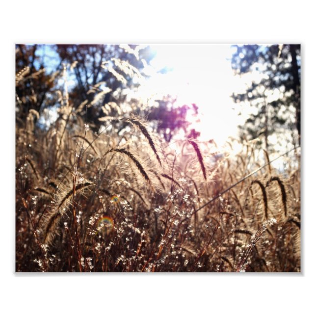 Impression Photo La nature au soleil (Devant)