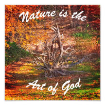"La nature est l'art de Dieu" Citation Imprimer