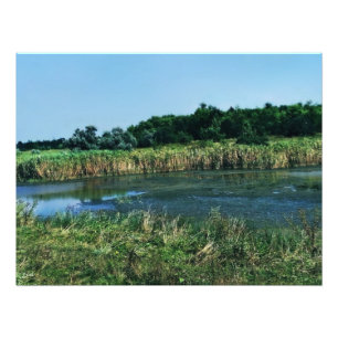 Impression Photo La rivière Molochnaya près de Melitopol. Ukraine d