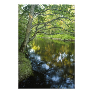 Impression Photo La rivière Taunton à Bridgewater, 2