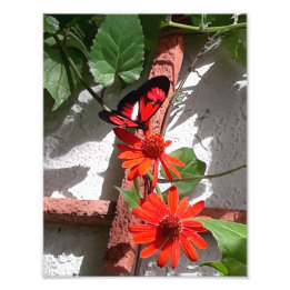 Impression Photo Lady in Red Édition Limitée