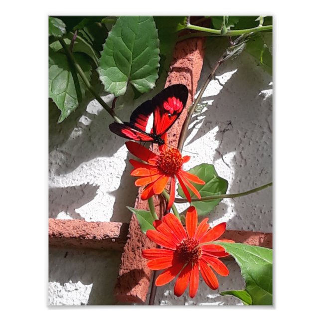 Impression Photo Lady in Red Édition Limitée (Devant)