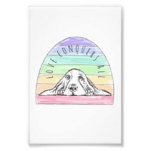 Impression Photo l'amour conquiert tout chien arc-en-ciel basset ho