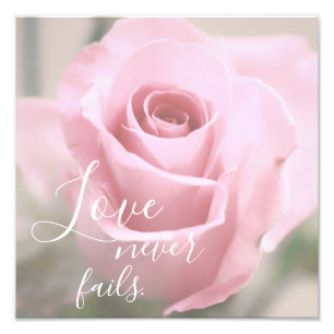Impression Photo L'Amour n'échoue jamais Bible et cite Rose rose