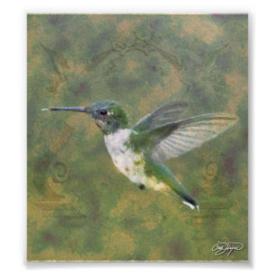 Impression Photo L'ange s'envole la série