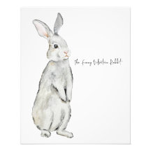 Lapin de velours drôle