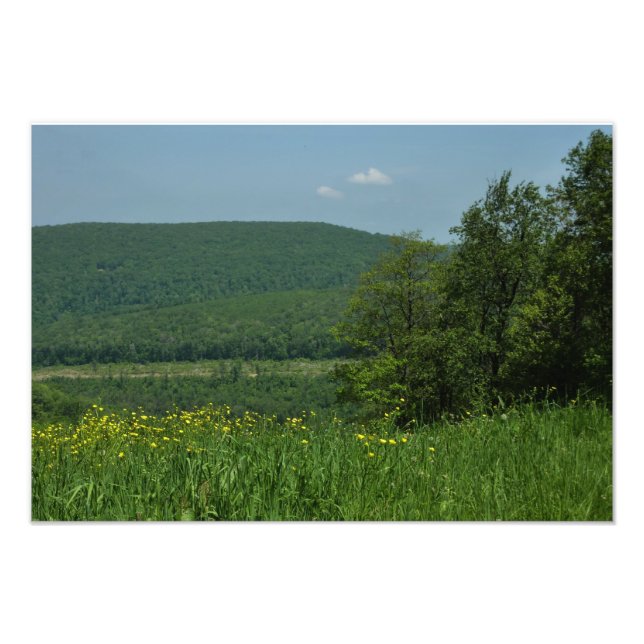 Impression Photo Laurel Highlands Pennsylvania Summer Photography (Devant)