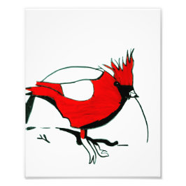 Impression Photo Le cardinal de Mike