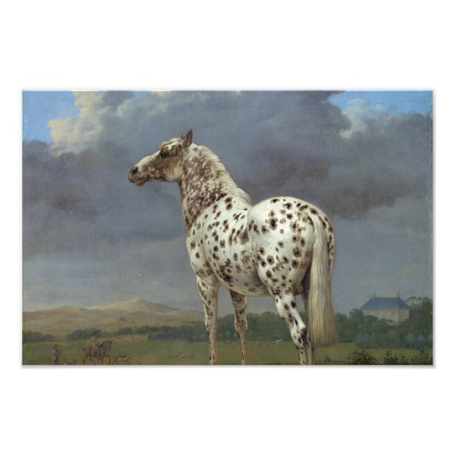 Impression Photo Le Cheval Piebald (Devant)