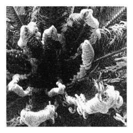 Impression Photo Le début