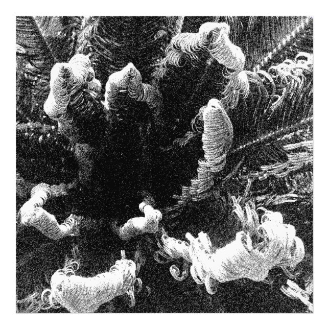 Impression Photo Le début (Devant)