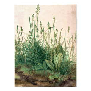 Impression Photo Le grand morceau de Turf par Albrecht Durer