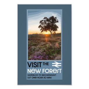 Impression Photo Le Hampshire de la forêt Angleterre