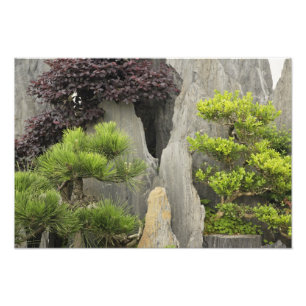Impression Photo Le jardin de la famille Bao, Huangshan, Chine. 2