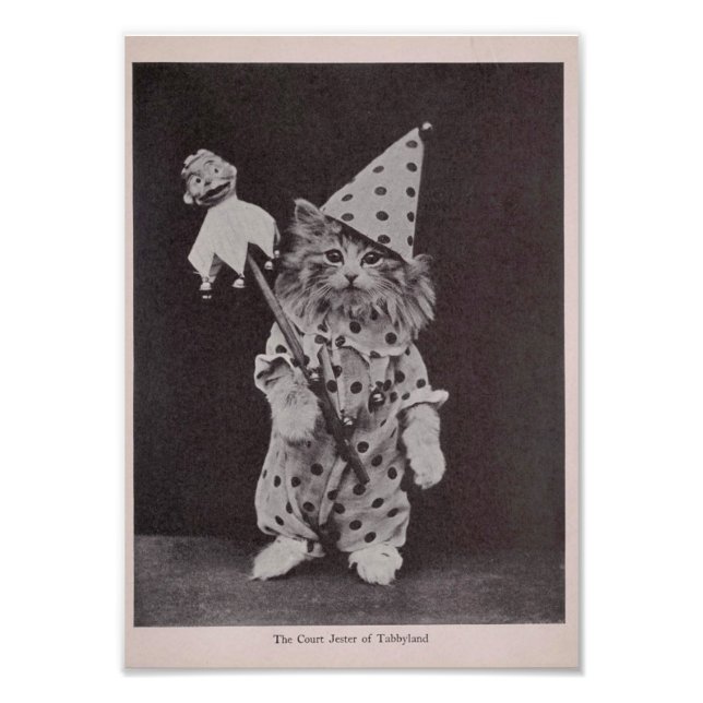 Impression Photo Le juge Jester de Tabbyland (Devant)