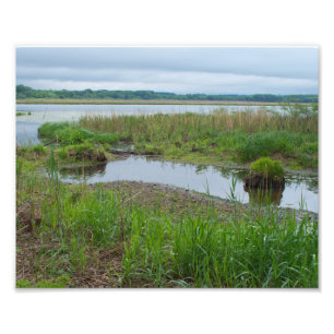 Impression Photo Le lac et les marais du Gun Club
