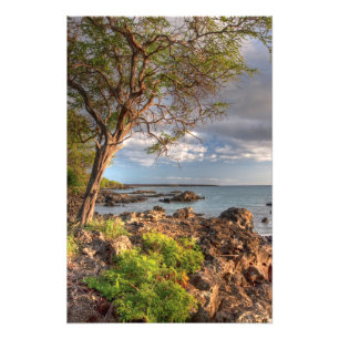 Impression Photo Le littoral de Maui