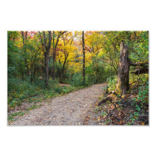 Impression Photo le long du sentier forestier sinueux des collines