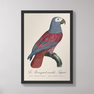 Impression Photo Le Perroquet cendre Tapire 