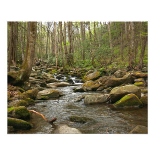 Impression Photo Le ruisseau Le Conte dans les montagnes Great Smok