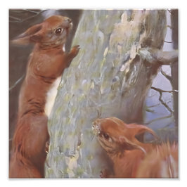 Impression Photo L'ÉCUREUIL (Sciurus vulgaris)