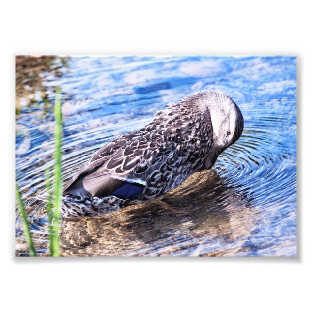 Impression Photo L'effet Grooming (Devant)