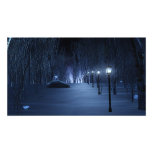 Impression photo légère de Fool