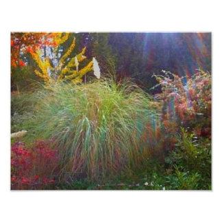 Impression Photo Légères rayons du soleil