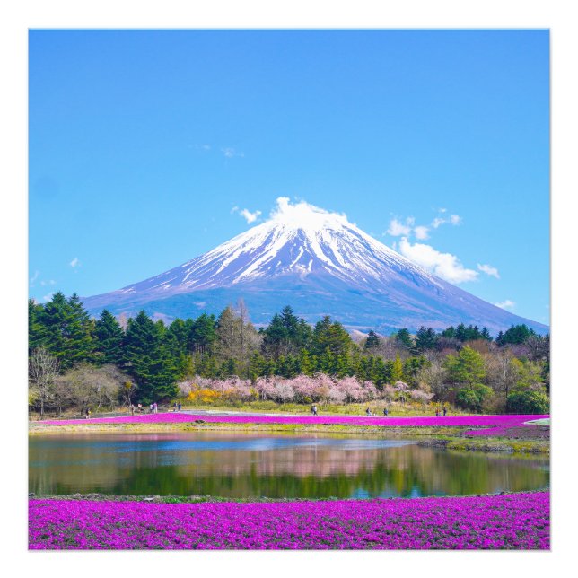 Impression Photo Les arbres et fleurs du Mont Fuji (Devant)