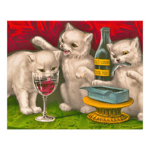 Impression Photo Les chatons boivent et mangent du poisson sardine