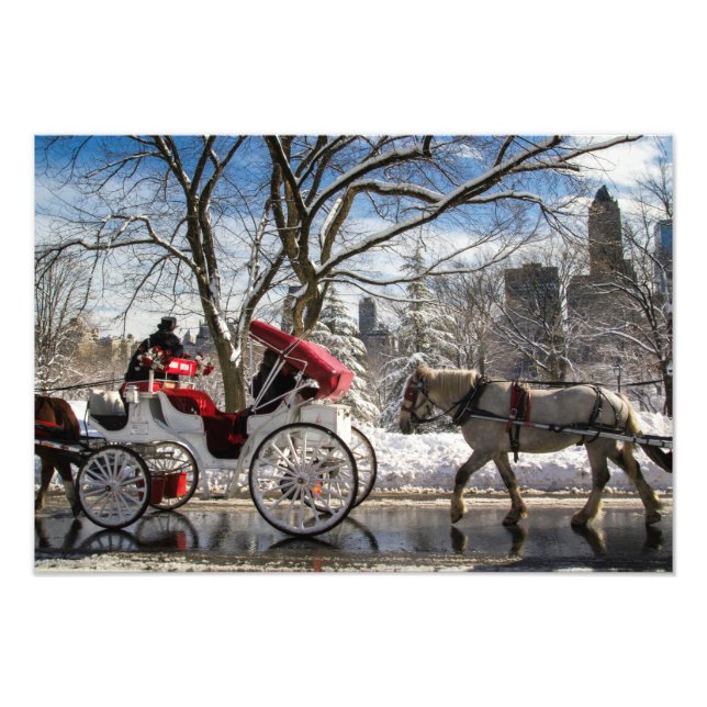 Impression Photo Les chevaux d'hiver à Central Park (Devant)