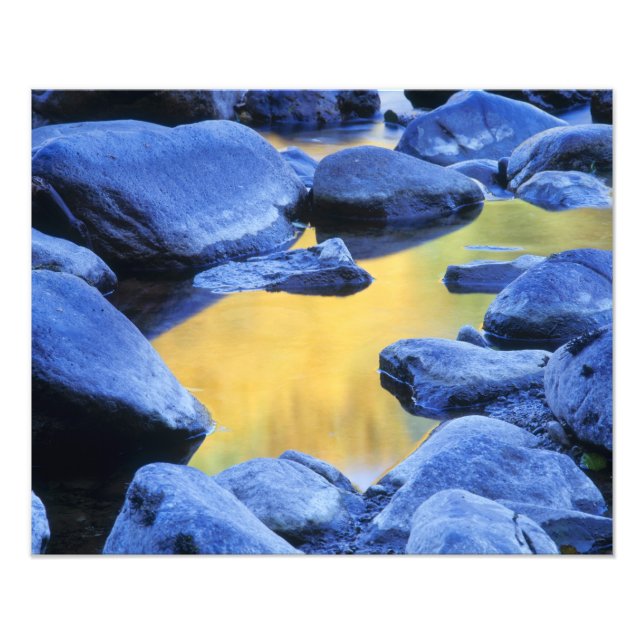 Impression Photo Les couleurs d'automne se reflètent dans une patau (Devant)