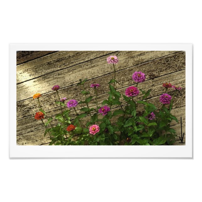 Impression Photo Les fleurs d'Abby (Devant)