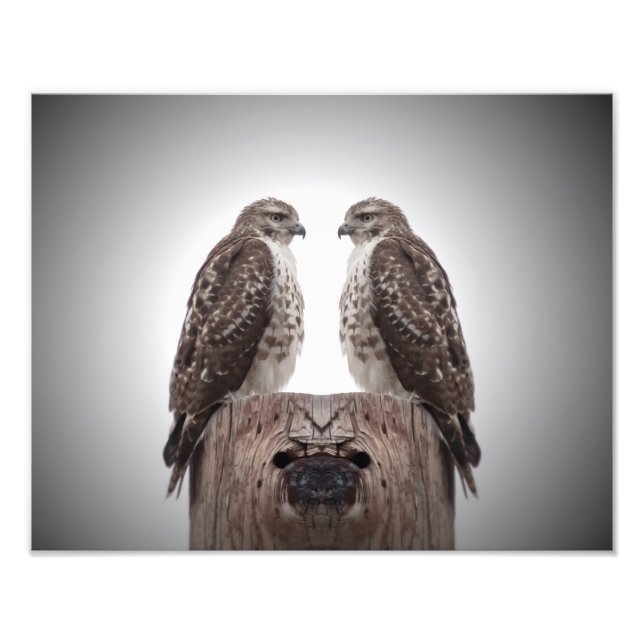 Impression Photo Les Hawks en poste (Devant)