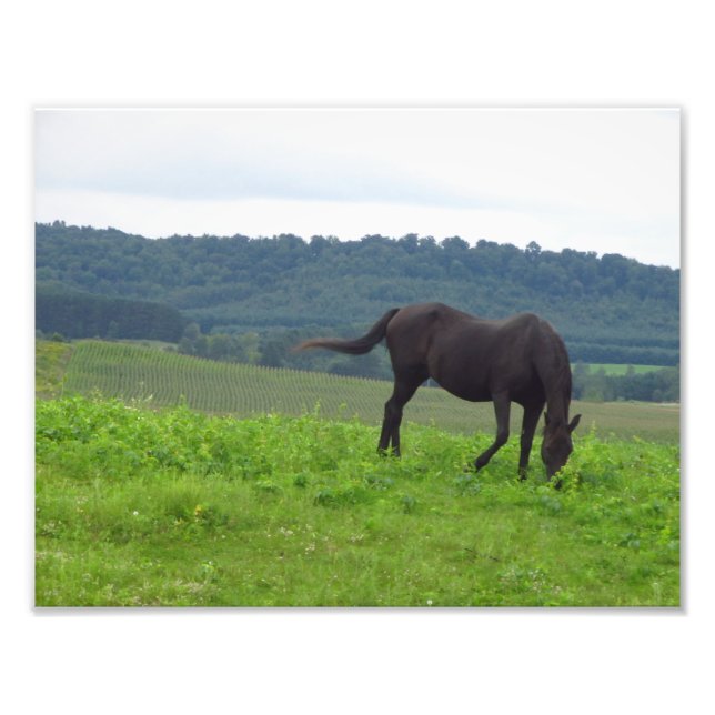 Impression Photo Les prés de l'amour (Devant)