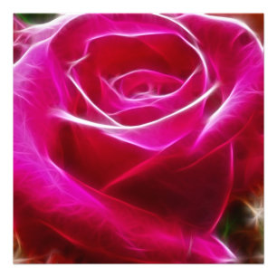 Impression Photo Les roses sont néon rose Artistique et unique