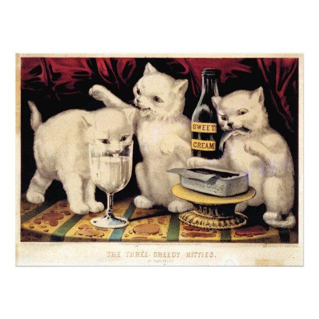 Impression Photo Les Trois Kitties Gourmandes À La Fête Ives (Devant)
