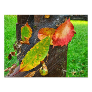 Impression Photo L'été s'effondre dans la toile de l'automne