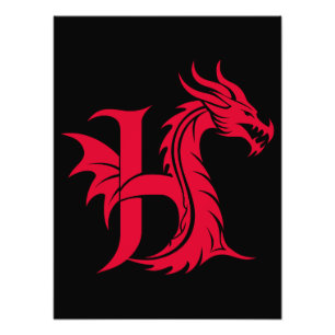 Impression Photo Lettre H de style dragon, alphabet du dragon, mono