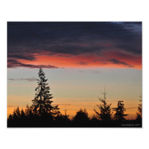 Impression Photo Lever du soleil et arbres