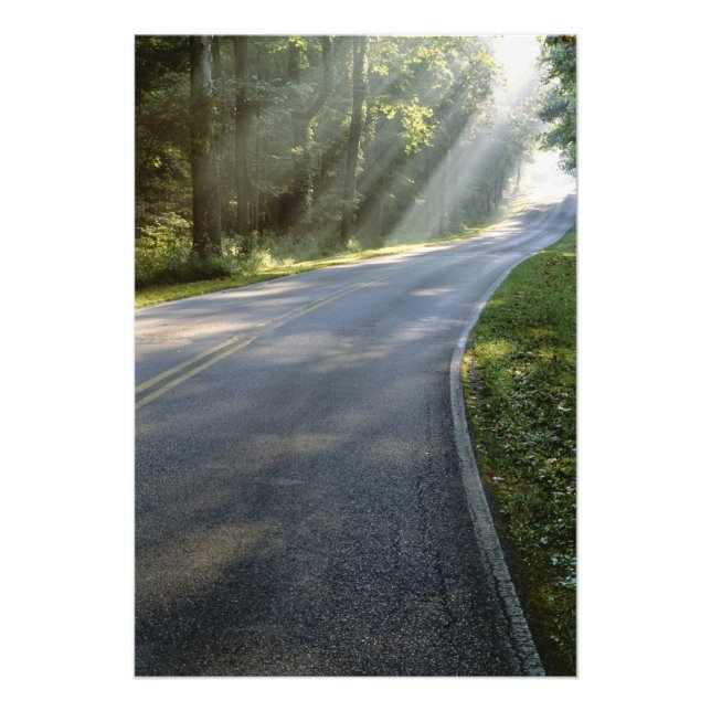 Impression Photo Lever du soleil par le brouillard le long de Green (Devant)